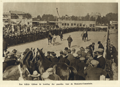 99055 Afbeelding van het keuren van paarden door de remontecommissie tijdens de paardententoonstelling bij de opening ...